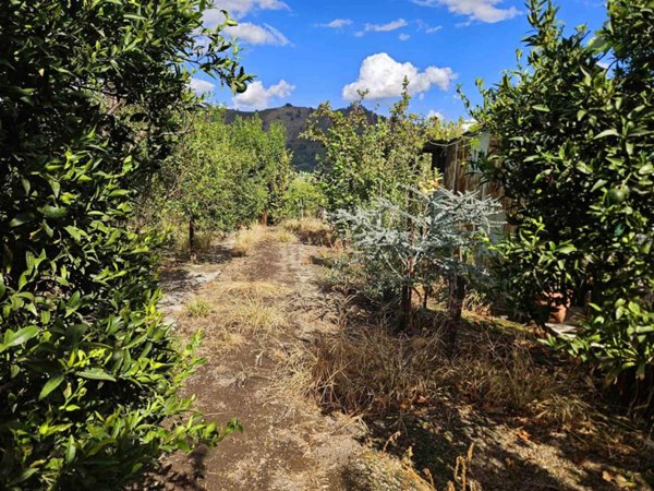 terreno agricolo in vendita a Nocera Inferiore