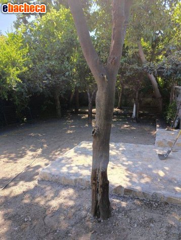 appartamento in vendita a Nocera Inferiore