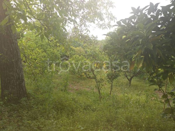 terreno agricolo in vendita a Nocera Inferiore