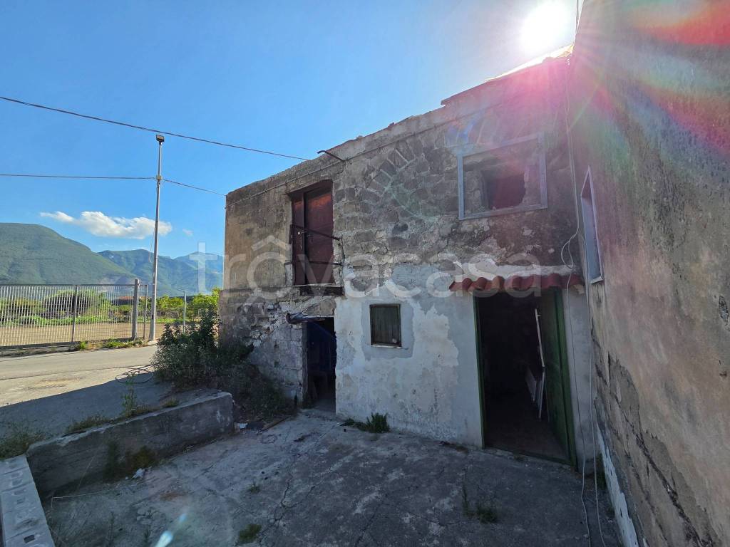 immagine annuncio 0 di 11