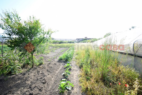 terreno agricolo in vendita a Nocera Inferiore