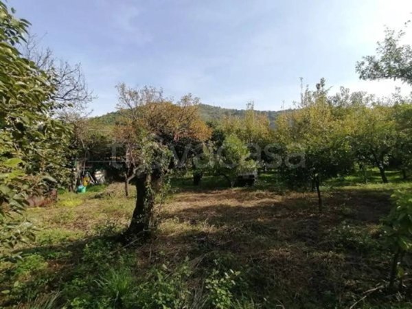 terreno agricolo in vendita a Nocera Inferiore