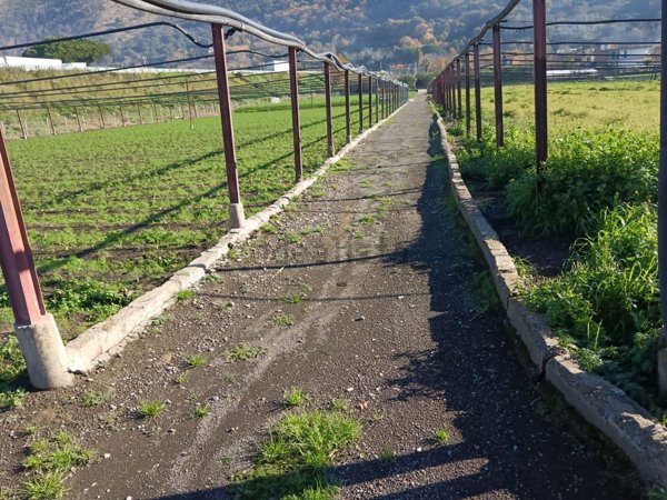 terreno agricolo in vendita a Nocera Inferiore
