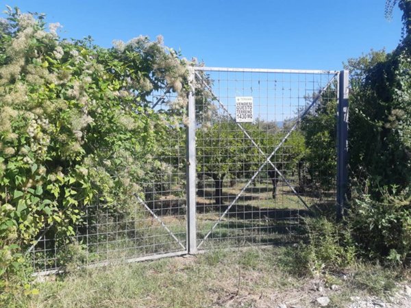 terreno agricolo in vendita a Nocera Inferiore