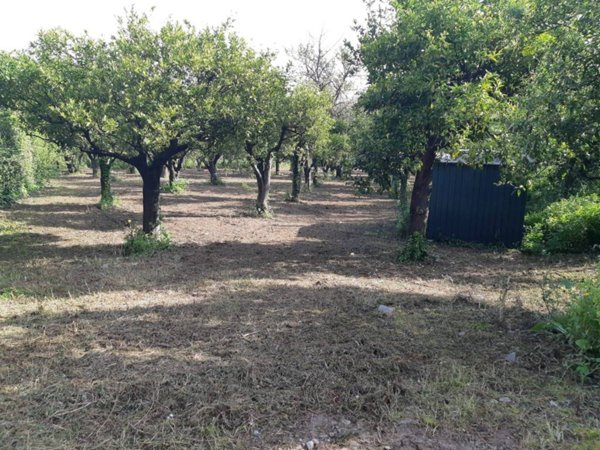 terreno agricolo in vendita a Nocera Inferiore