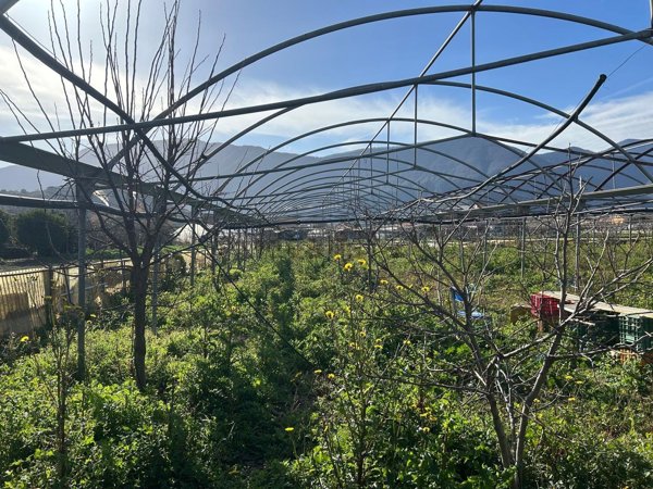 terreno agricolo in vendita a Nocera Inferiore