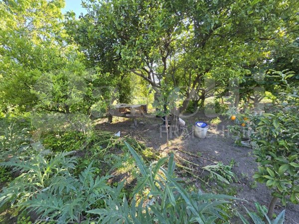 terreno agricolo in vendita a Nocera Inferiore