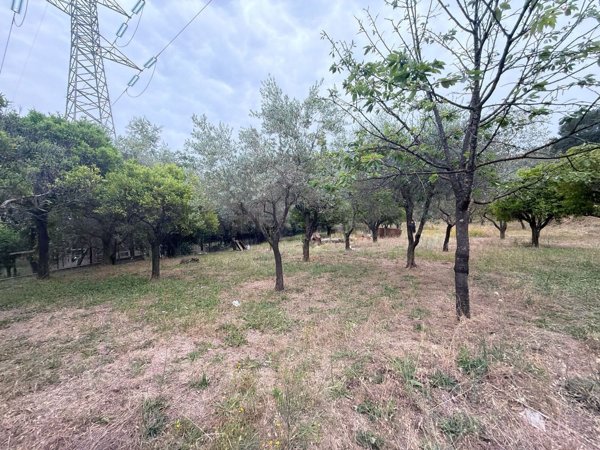 terreno agricolo in vendita a Nocera Inferiore