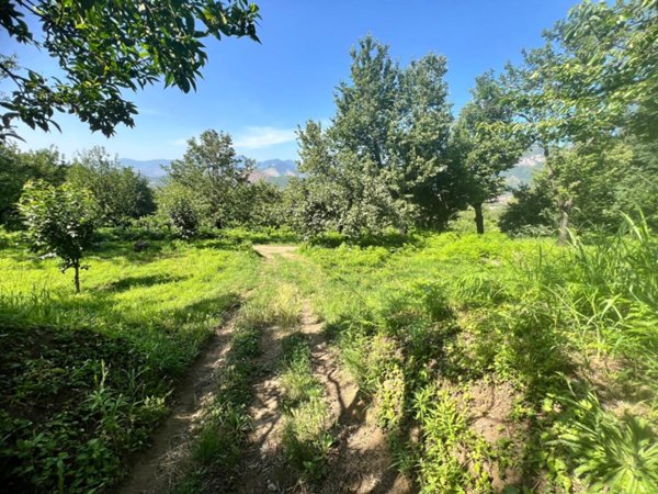 terreno agricolo in vendita a Nocera Superiore