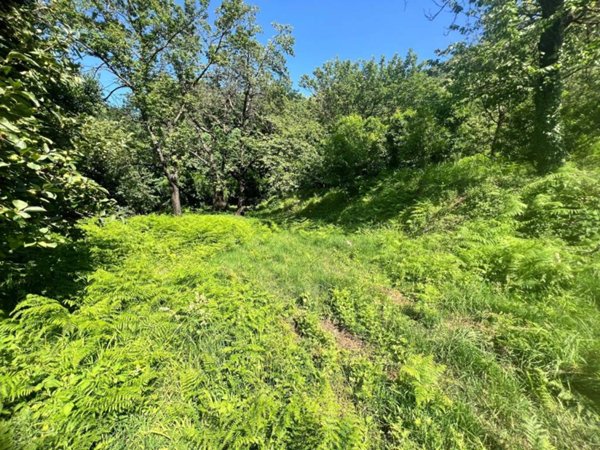 terreno agricolo in vendita a Nocera Superiore