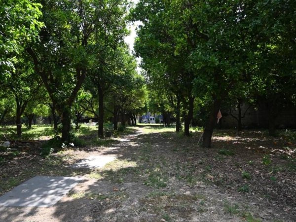 terreno agricolo in vendita a Nocera Superiore