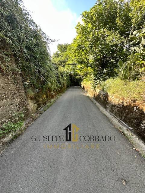 terreno agricolo in vendita a Nocera Superiore