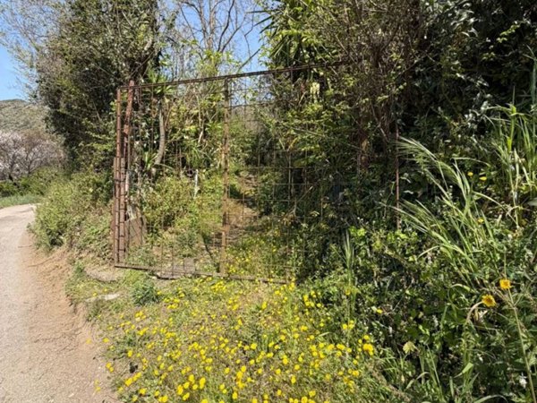 terreno agricolo in vendita a Nocera Superiore