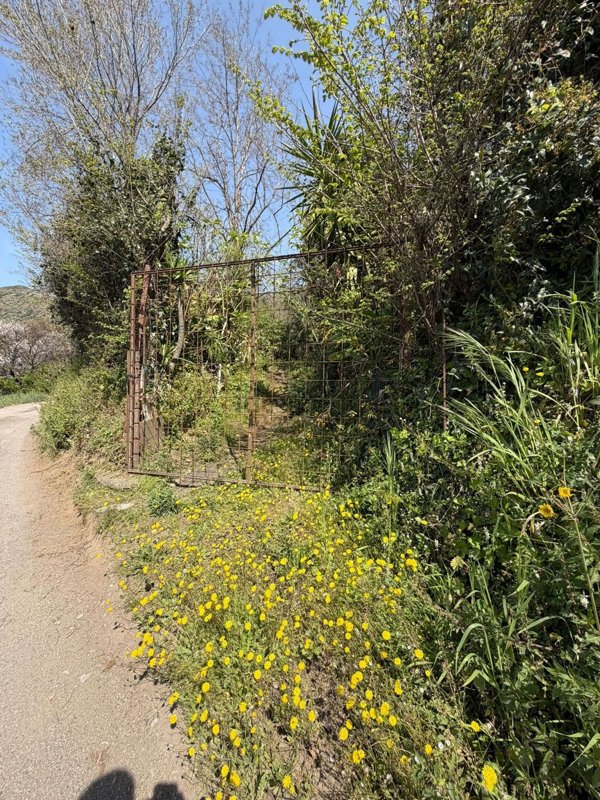 terreno agricolo in vendita a Nocera Superiore