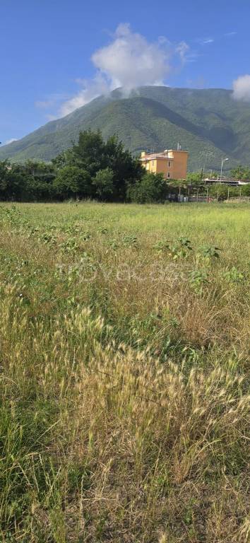 terreno agricolo in vendita a Nocera Superiore in zona Croce Malloni