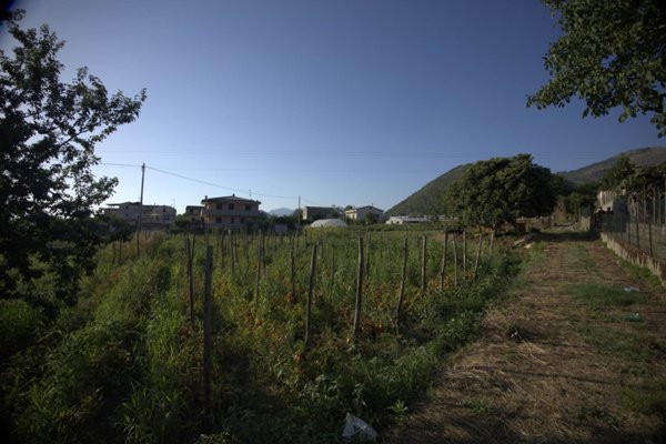 terreno agricolo in vendita a Nocera Superiore in zona Pecorari