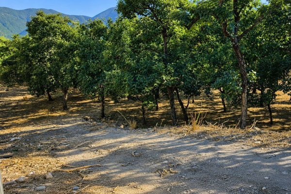 terreno agricolo in vendita a Nocera Superiore