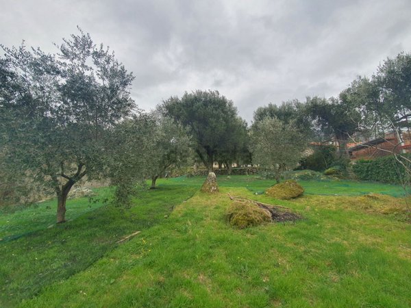 casa indipendente in vendita a Novi Velia