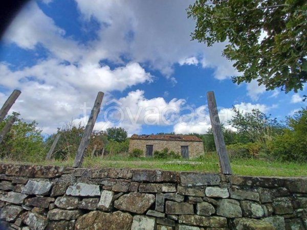 terreno agricolo in vendita ad Ogliastro Cilento