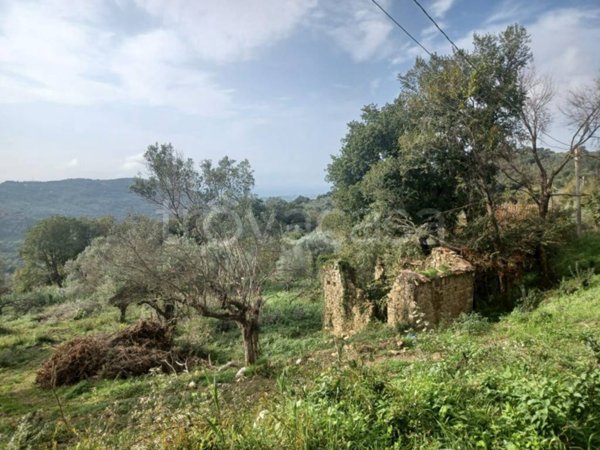rudere in vendita ad Ogliastro Cilento in zona Finocchito