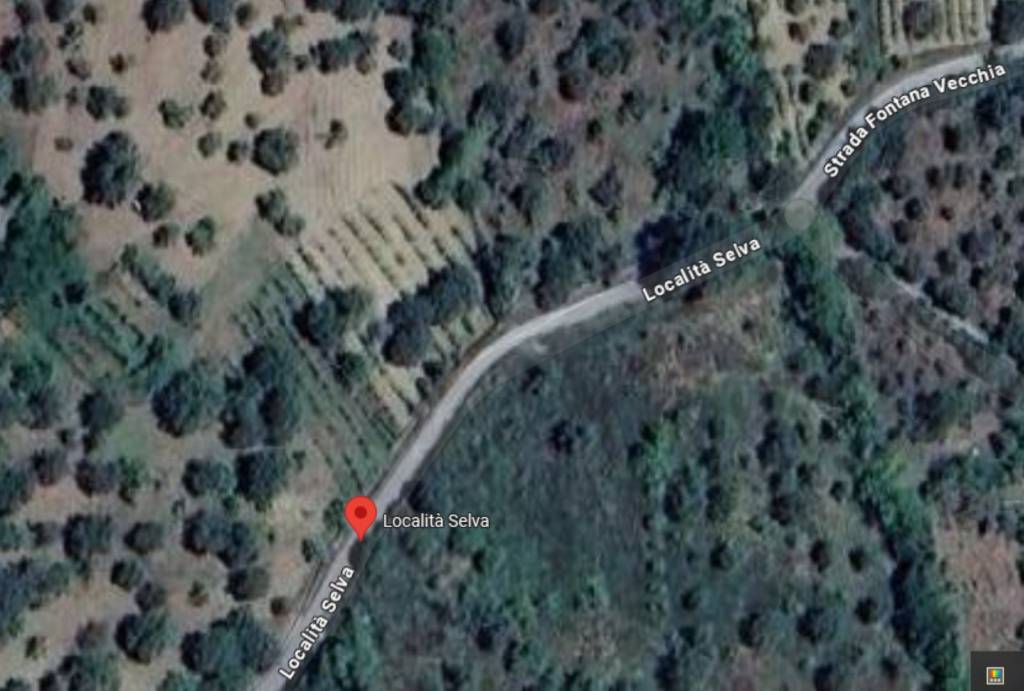 appartamento in vendita ad Ogliastro Cilento in zona Finocchito