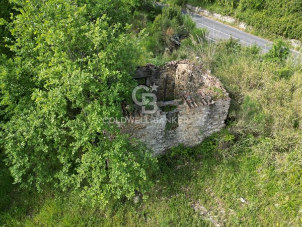 terreno agricolo in vendita ad Ogliastro Cilento