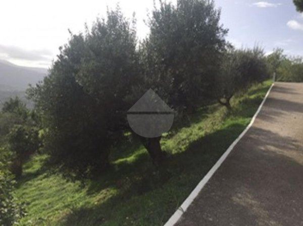 terreno edificabile in vendita ad Ogliastro Cilento