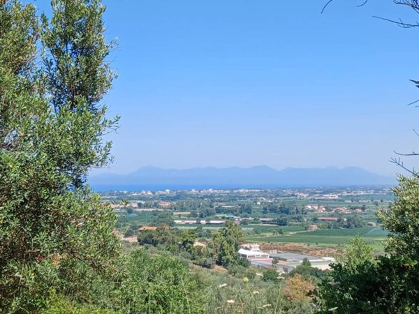 terreno agricolo in vendita ad Ogliastro Cilento