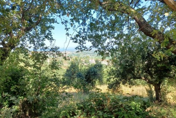 terreno agricolo in vendita ad Ogliastro Cilento