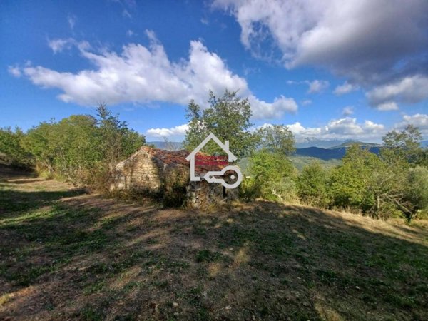 terreno agricolo in vendita ad Ogliastro Cilento in zona Finocchito