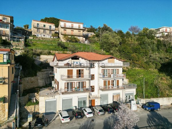 appartamento in vendita ad Ogliastro Cilento