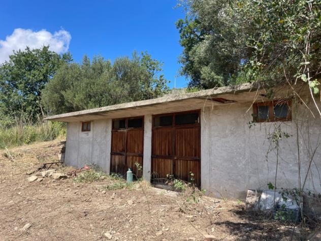 casa indipendente in vendita ad Ogliastro Cilento