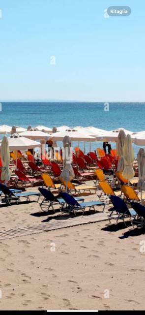 negozio in vendita ad Ogliastro Cilento