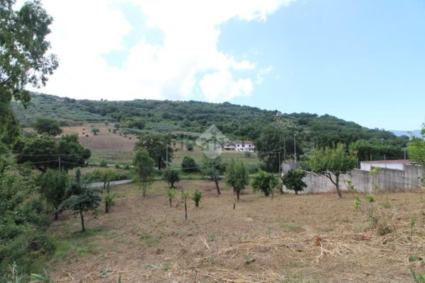 appartamento in vendita ad Ogliastro Cilento