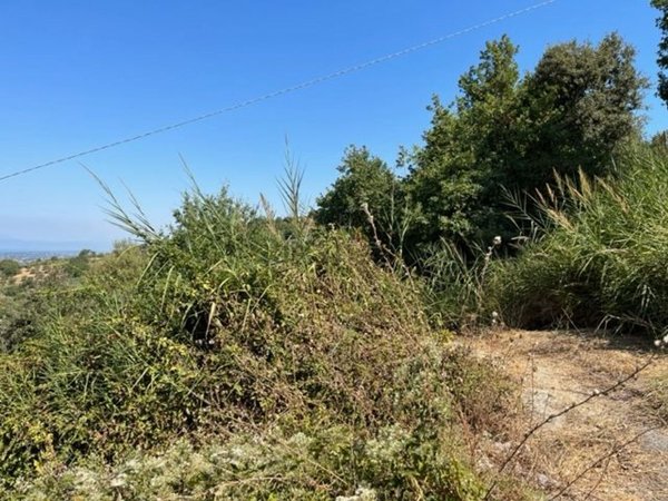 terreno agricolo in vendita ad Ogliastro Cilento