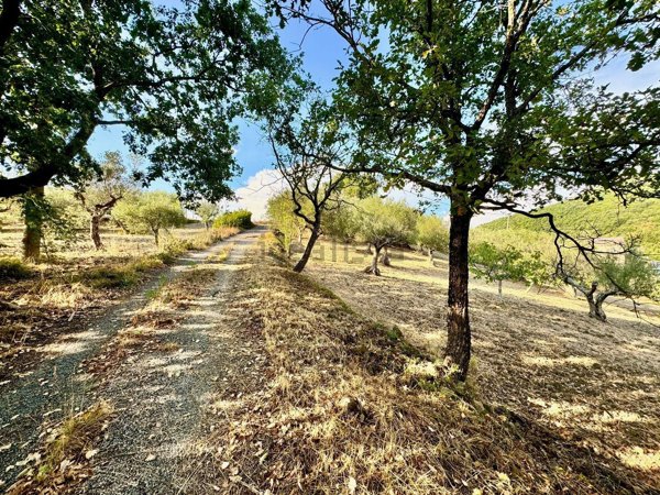 appartamento in vendita ad Ogliastro Cilento in zona Finocchito