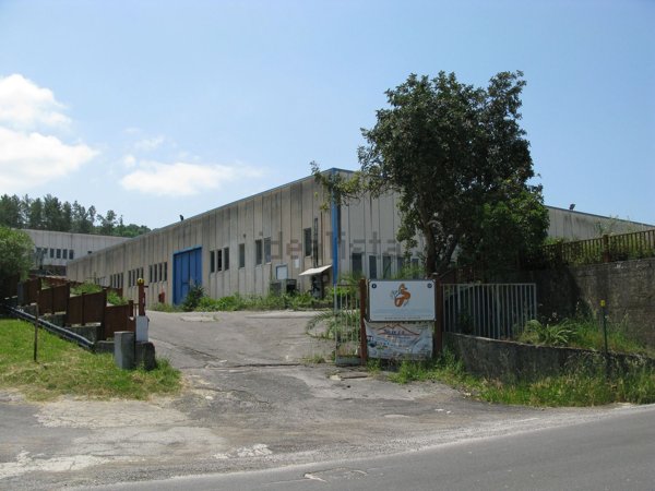 locale di sgombero in vendita ad Ogliastro Cilento