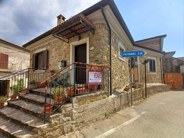 casa indipendente in vendita ad Ogliastro Cilento in zona Finocchito