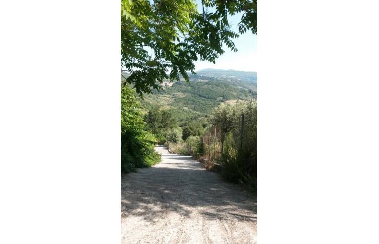 casa indipendente in vendita ad Ogliastro Cilento