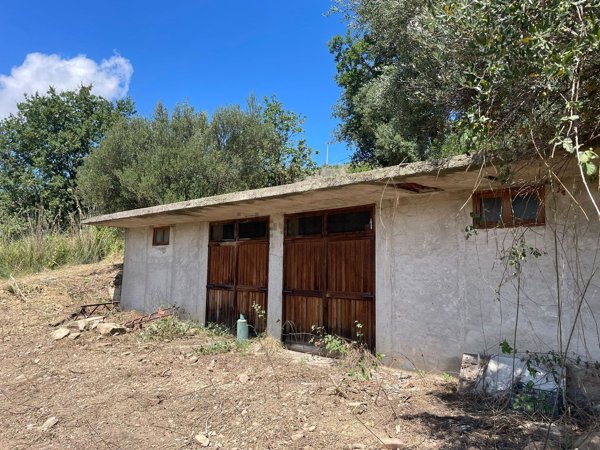 terreno agricolo in vendita ad Ogliastro Cilento in zona Finocchito