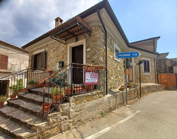 casa indipendente in vendita ad Ogliastro Cilento in zona Finocchito