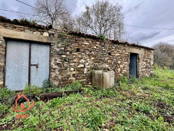 casa indipendente in vendita ad Ogliastro Cilento