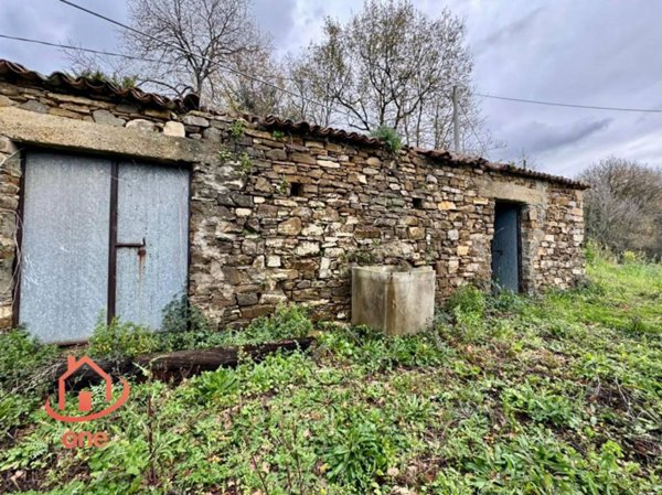 casa indipendente in vendita ad Ogliastro Cilento