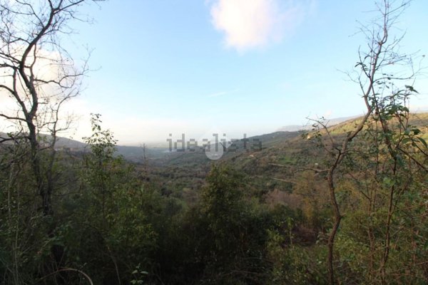 terreno agricolo in vendita ad Ogliastro Cilento in zona Eredita