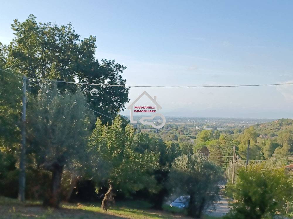 terreno agricolo in vendita ad Ogliastro Cilento