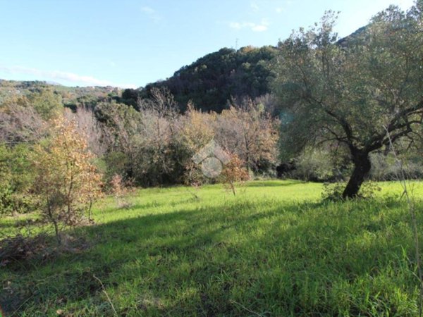 terreno agricolo in vendita ad Ogliastro Cilento in zona Eredita