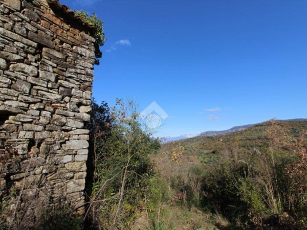 terreno agricolo in vendita ad Ogliastro Cilento in zona Eredita