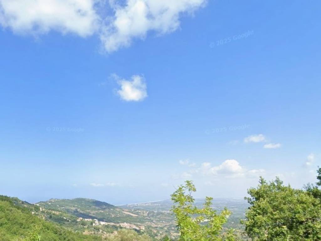 terreno agricolo in vendita ad Ogliastro Cilento