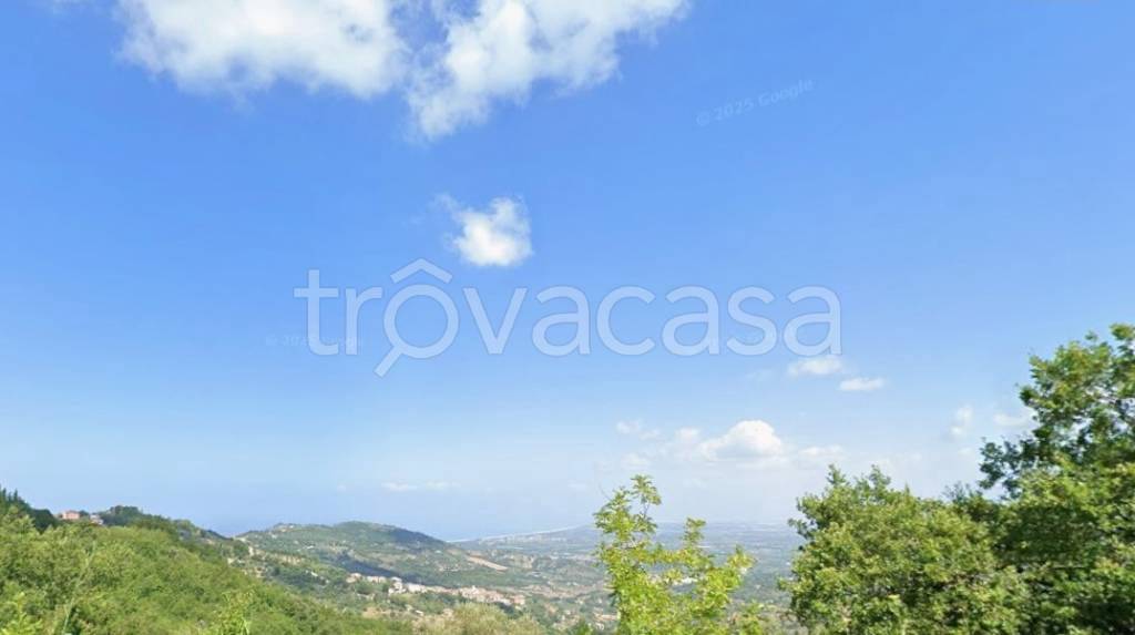 terreno agricolo in vendita ad Ogliastro Cilento