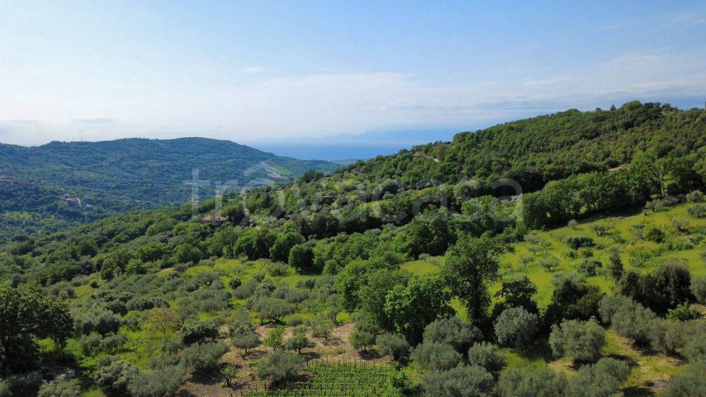 rudere in vendita ad Ogliastro Cilento
